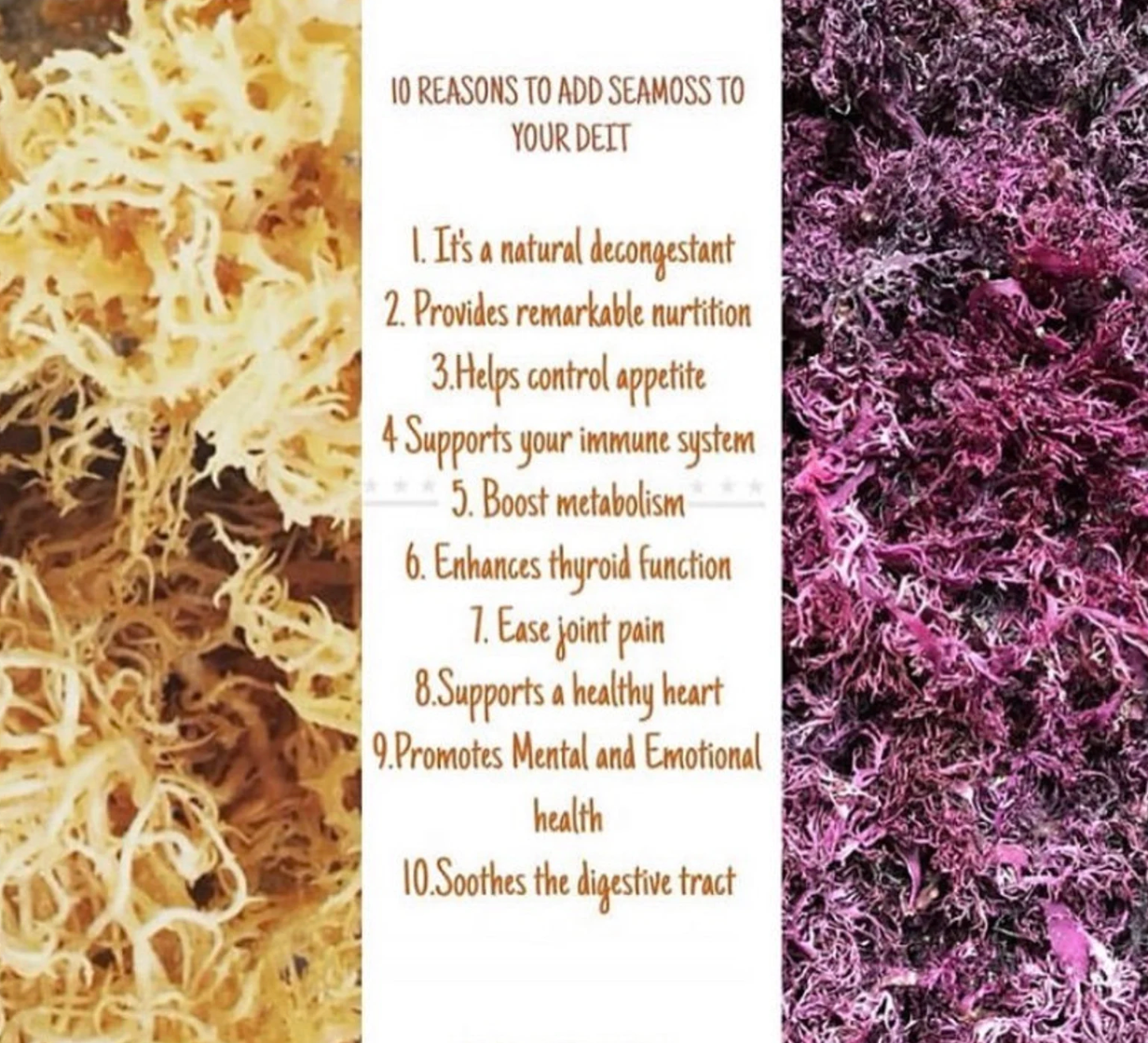 Sea Moss Gel Superfood (Purple or Gold)