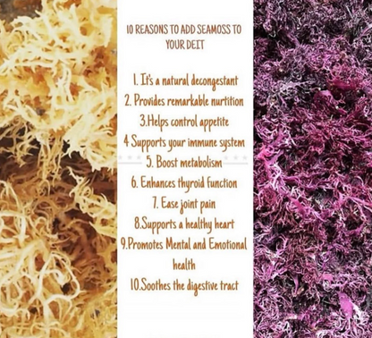 Sea Moss Gel Superfood (Purple or Gold)