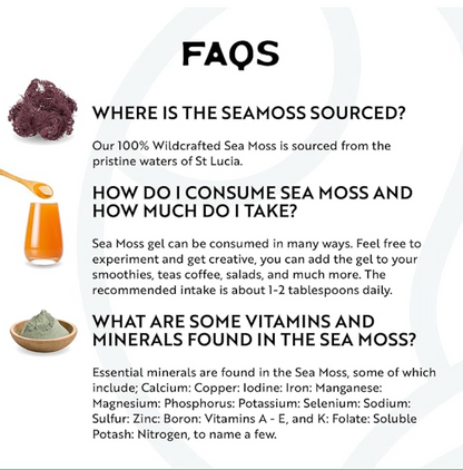 Sea Moss Gel Superfood (Purple or Gold)