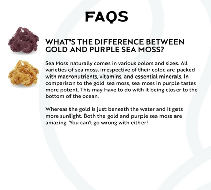 Sea Moss Gel Superfood (Purple or Gold)